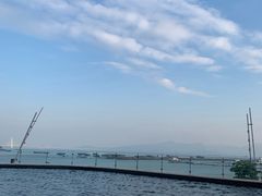 -希尔顿南海酒店·观廊大堂吧·海景下午茶