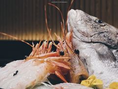 活鲷鱼刺身-富山日式料理(宽厚里店)