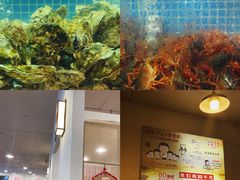 水产区-冶建镜子·老南昌大排档·江西虾王(总店)