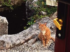 -东山雕花楼