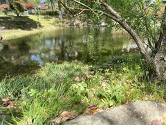 -宁波九龙湖开元度假村