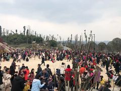 -枫香湖儿童公园