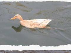 -迎泽公园