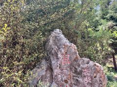 -长虫山生态公园风景林
