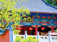 -太平万花山景区