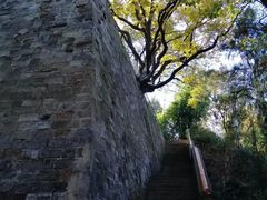 -昆明动物园
