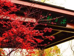 -桃花岛景观公园