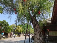 -台儿庄古城