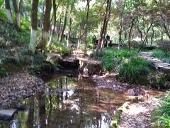 -杭州半山国家森林公园