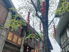-武汉园博园(武汉自然博物馆)