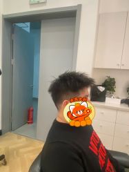 -YESIDO椰岛造型