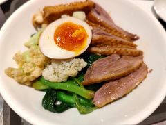 金奖卤鹅肉饭-陈鹏鹏潮汕菜(宝安机场T3航站楼店)