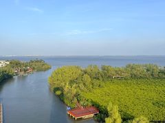 -东寨港红树林旅游区