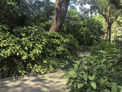 -兰溪青年公园