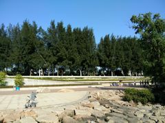 -宝安西湾红树林湿地公园