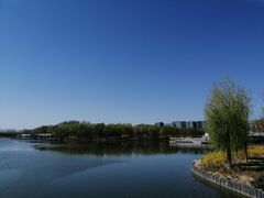 -大兴滨河森林公园