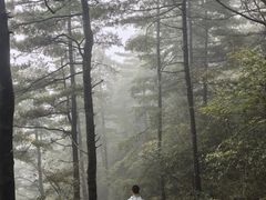 -秦岭天竺山生态文化旅游景区