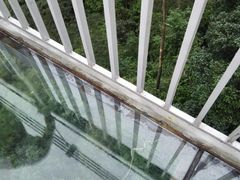 -牛鱼嘴原始生态风景区