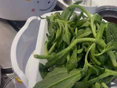 -龍歌自助小火锅(李沧顺和汇店)