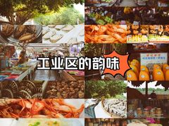 -大湾区中央湿地公园-十九涌