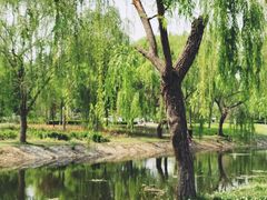-东昌湖风景区