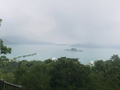 -金盆阿嬷香菇茶叶蛋(玄光店)