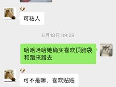 -达爱动物医院·犬猫分区·CT·复杂眼科(远洋山水分院)