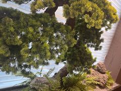 -苏淮景·苏闽融创菜·海鲜(原空港井河轩店)