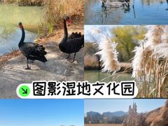 -长兴太湖图影湿地文化园