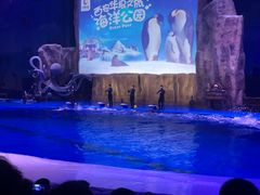 -华夏文旅海洋公园