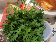 -蒙都43°9羊火锅·赤峰美食(宁城店)