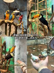 -Zoolung Zoolung动物主题公园(海信广场店)