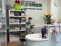 -悦宠凯宝动物医院·牙科·皮肤科(朝阳北路店)