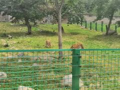 -西安秦岭野生动物园