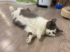 -星巴克臻选(莘庄仲盛店)