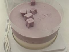 -CAKE BOSS 蛋糕老板(西单君太百货店)