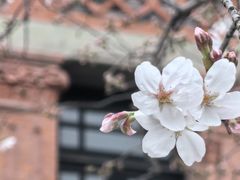 -华山263老字号品牌馆