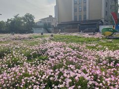 -府河摄影公园