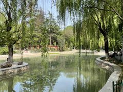 -西安市长乐公园