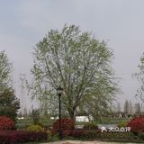 德清和睦村