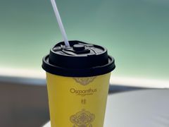 -爷爷不泡茶 NOYEYENOTEA(长沙五江天街店)