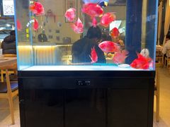 -五丁桥光头香辣蟹(望江橡树林店)