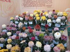 -天津水上公园