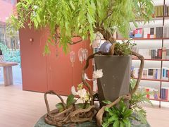 -二酉书店TOYOU BOOKS