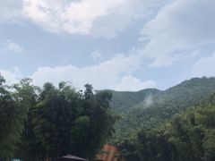-天目湖松岭竹海漂流