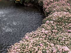 -杭州植物园
