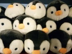 -北戴河圣蓝海洋公园