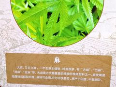 -北京古代建筑博物馆