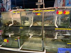 水产区-八仔大富楼·河鲜(西江店)