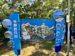 -广东惠东海龟国家级自然保护区